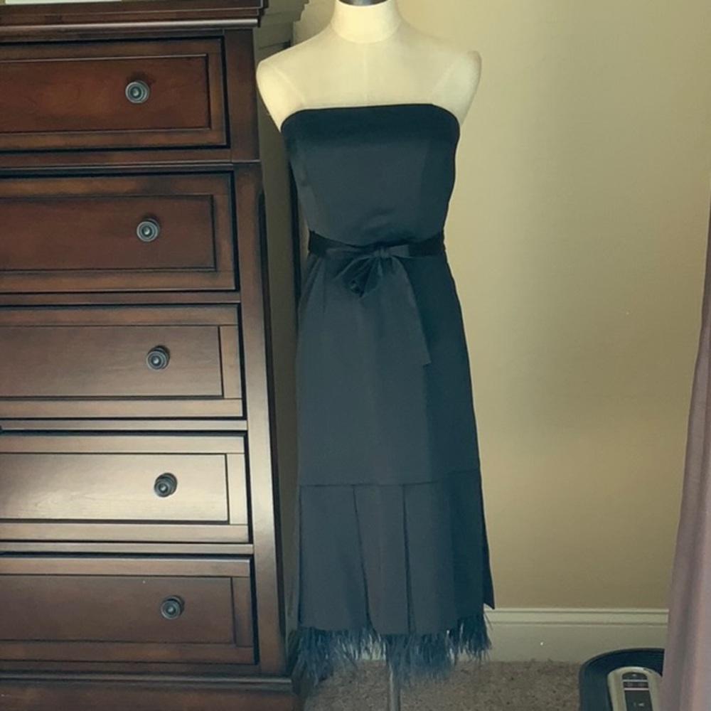 BCBGmaxazria XS black dress with feather detail. Like new